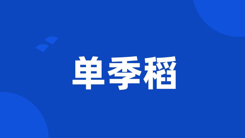 单季稻