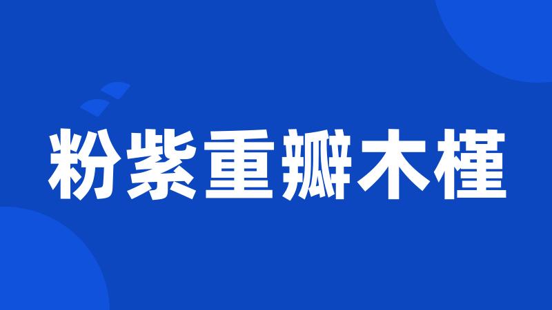 粉紫重瓣木槿