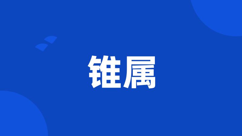 锥属