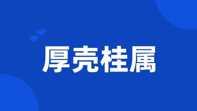 厚壳桂属