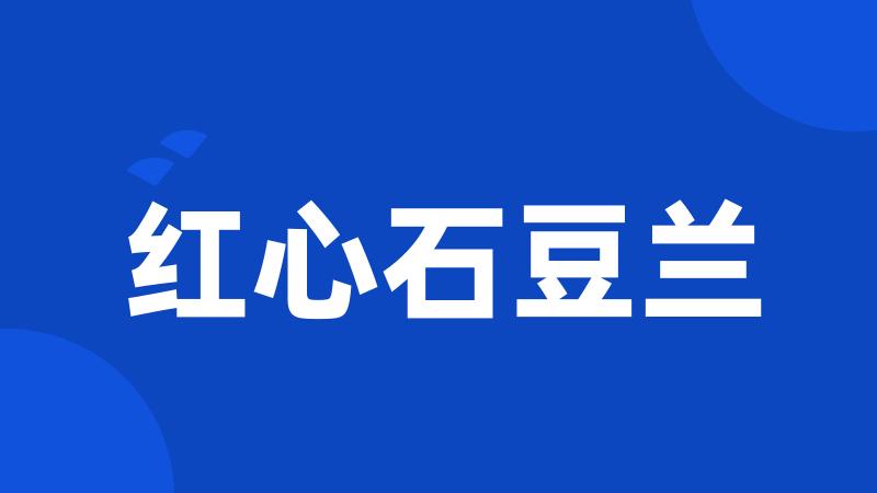红心石豆兰