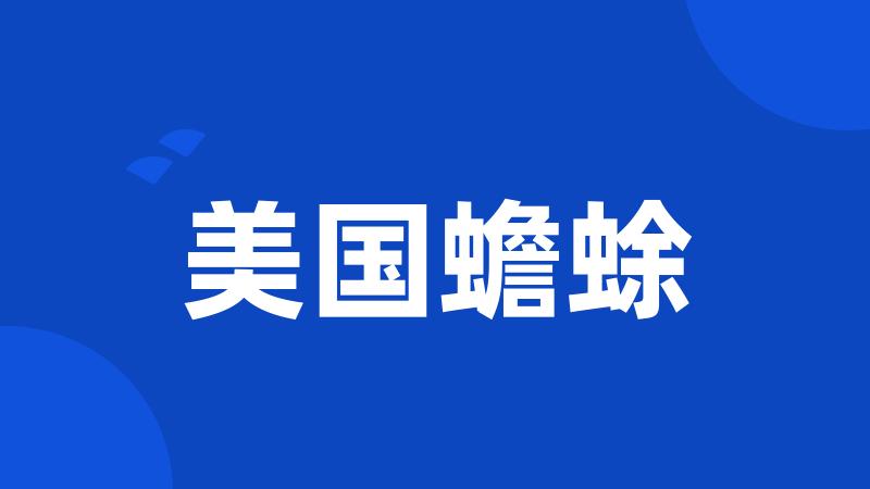 美国蟾蜍