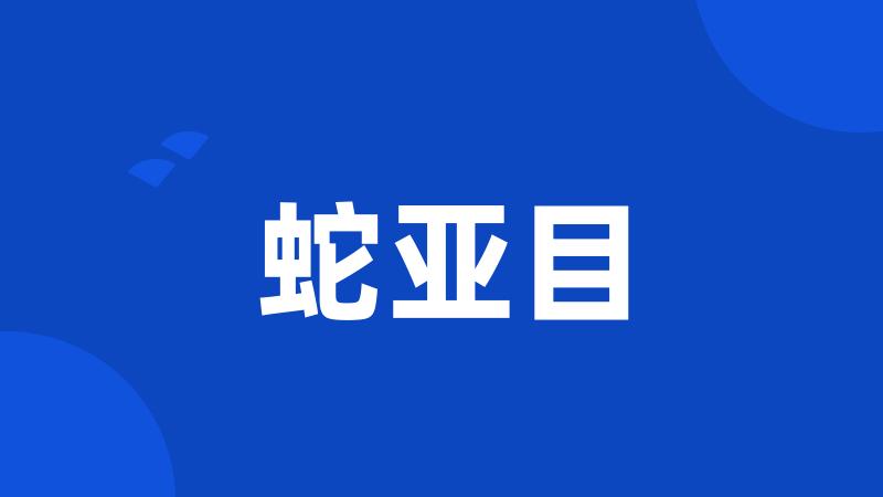 蛇亚目