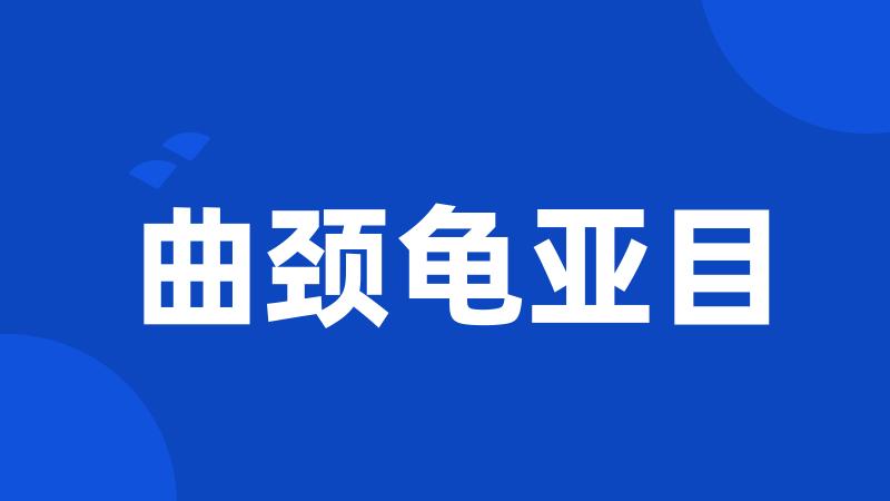 曲颈龟亚目