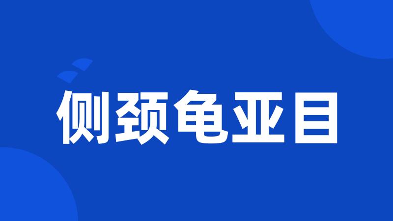 侧颈龟亚目