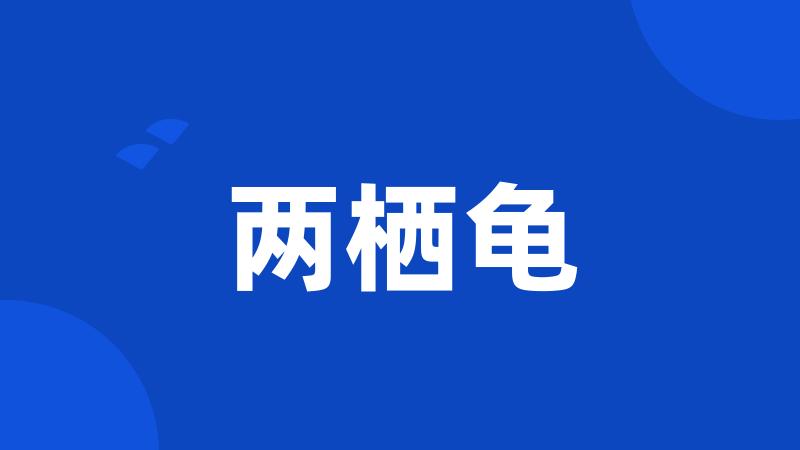 两栖龟