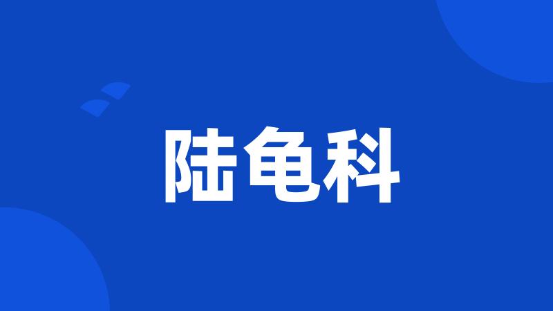 陆龟科
