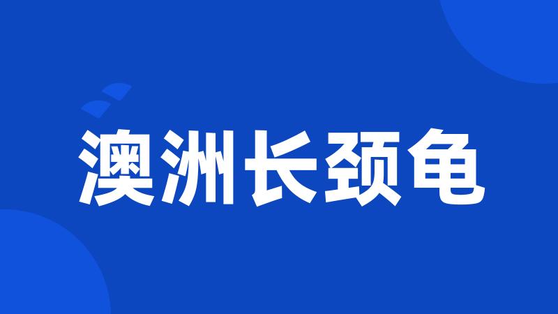 澳洲长颈龟