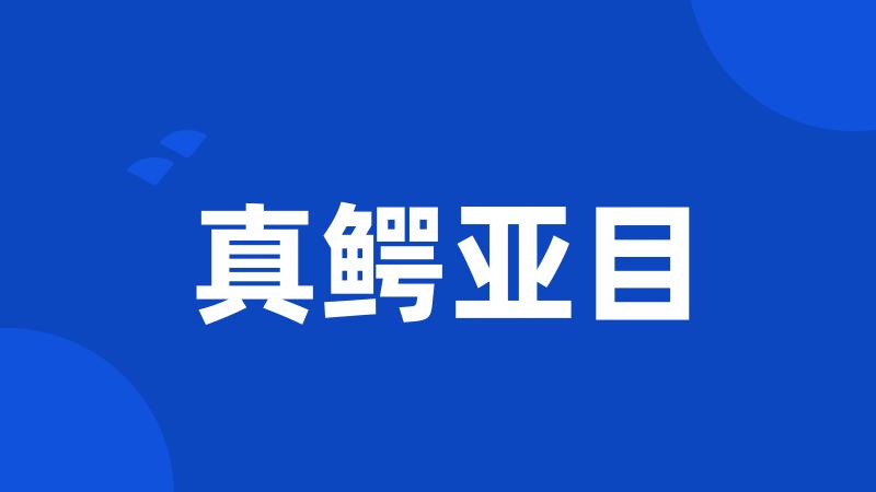 真鳄亚目