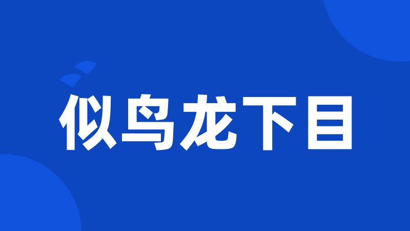 似鸟龙下目
