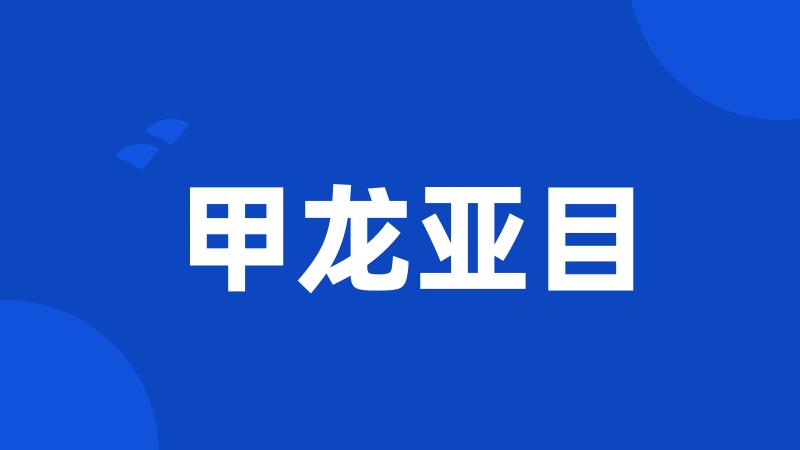 甲龙亚目