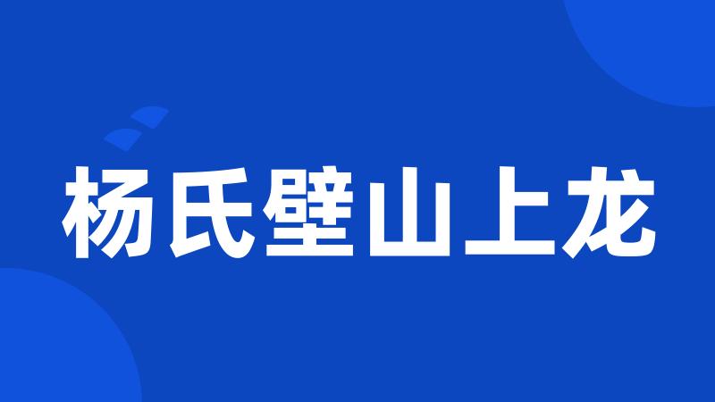 杨氏壁山上龙