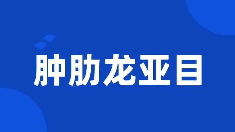 肿肋龙亚目