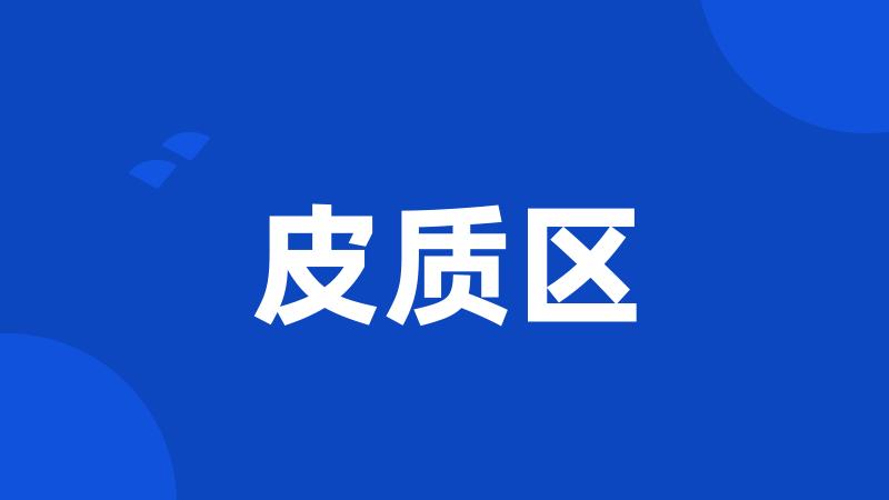皮质区