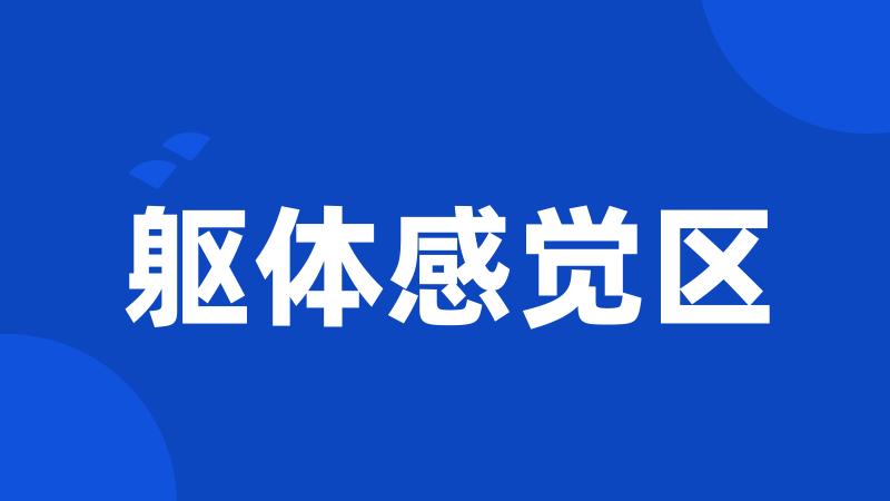 躯体感觉区