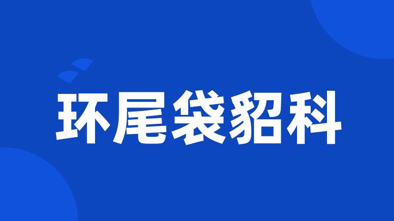 环尾袋貂科