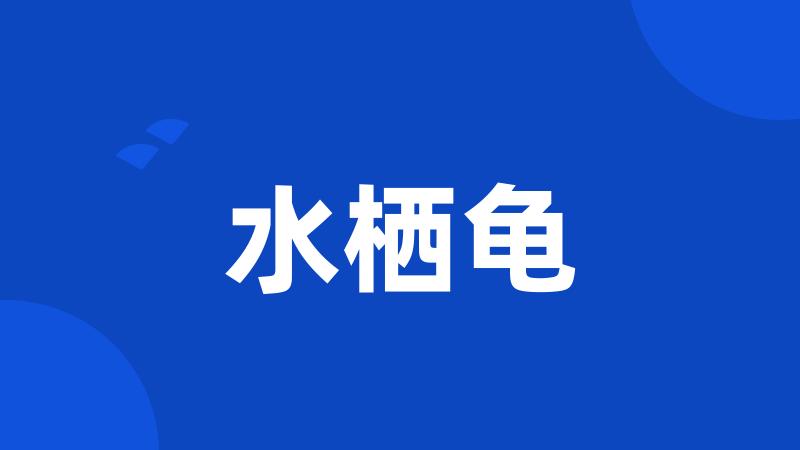水栖龟