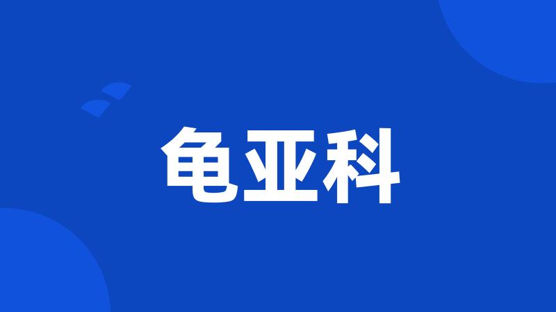 龟亚科