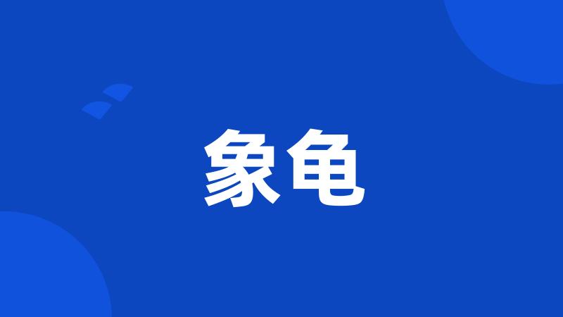 象龟