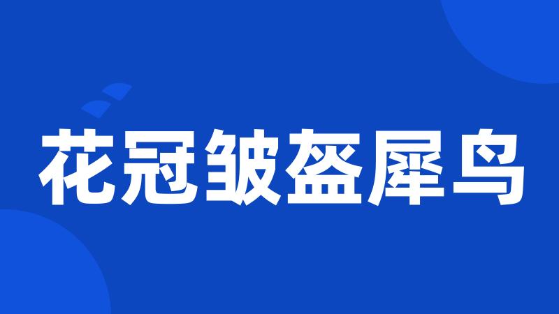 花冠皱盔犀鸟