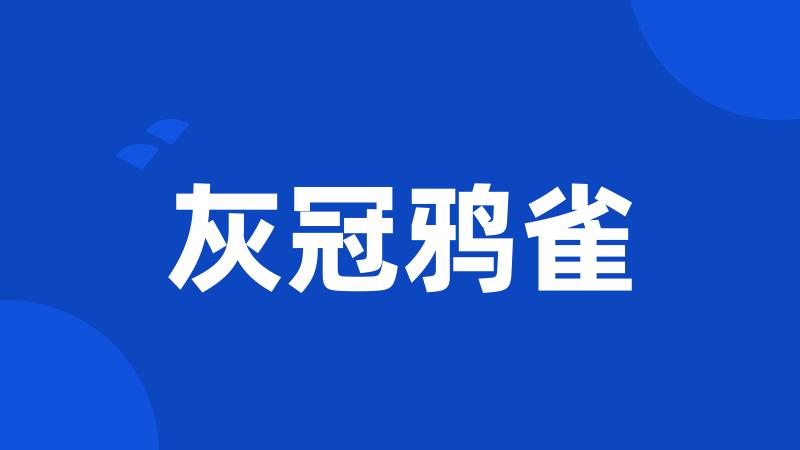灰冠鸦雀