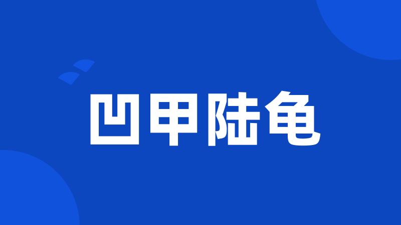 凹甲陆龟