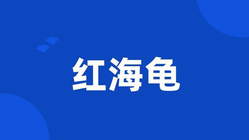 红海龟