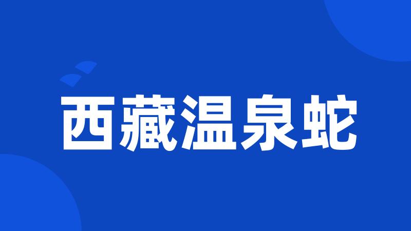 西藏温泉蛇