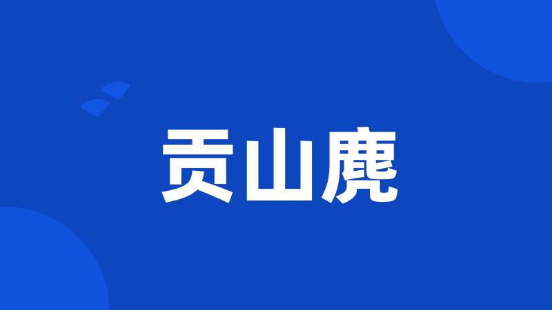 贡山麂