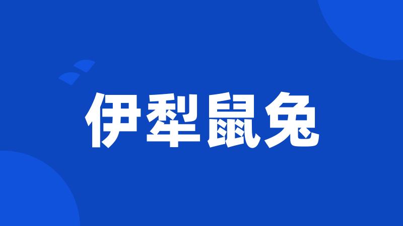 伊犁鼠兔