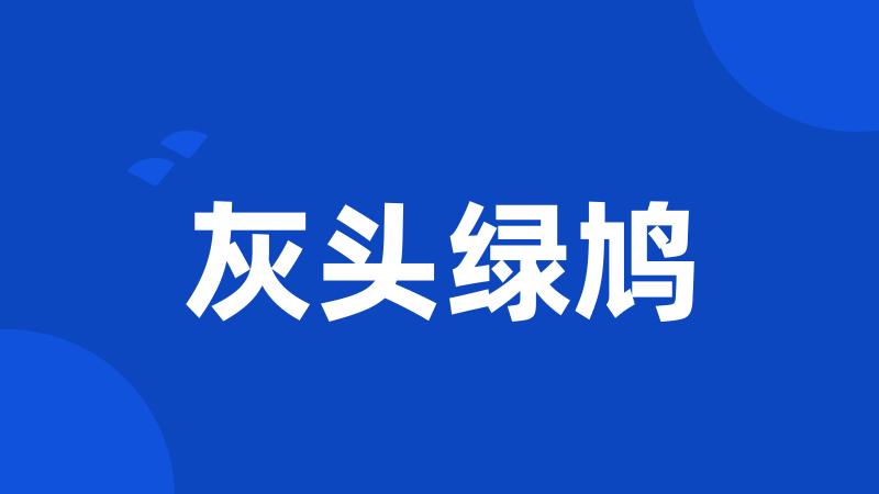 灰头绿鸠