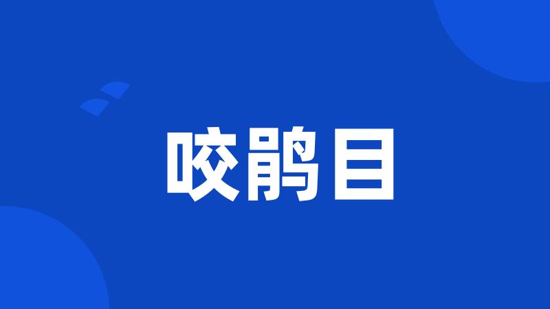咬鹃目