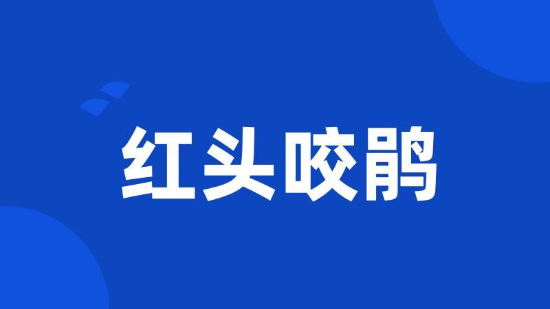 红头咬鹃