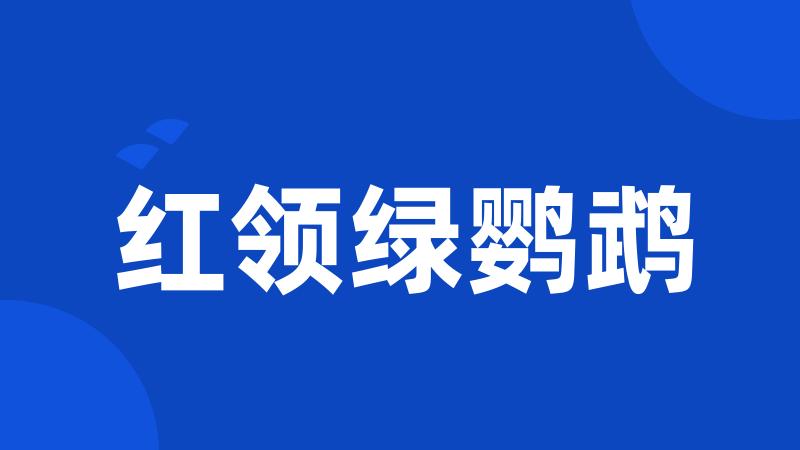 红领绿鹦鹉