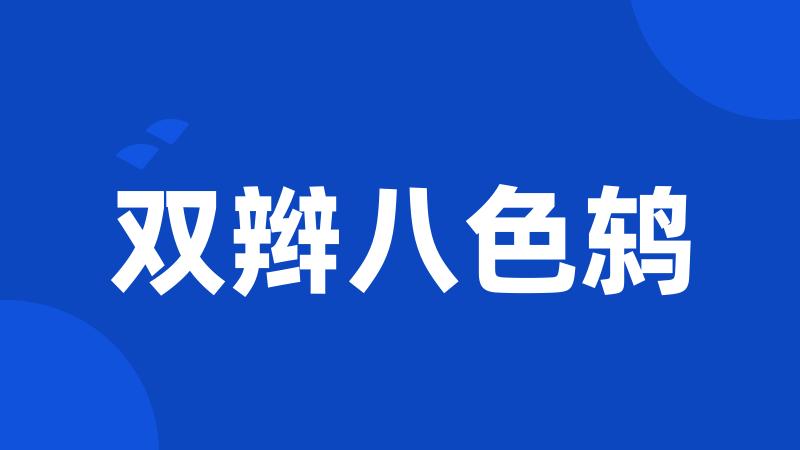 双辫八色鸫