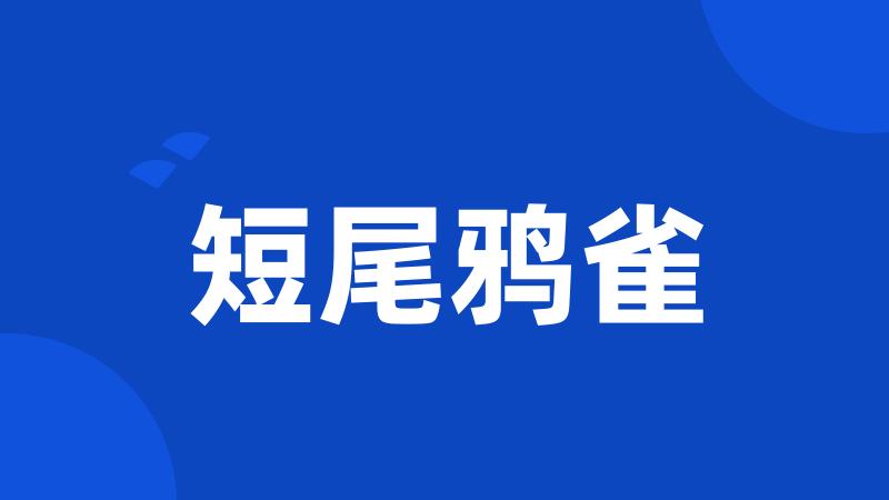 短尾鸦雀