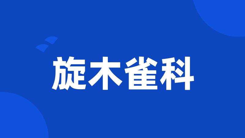 旋木雀科