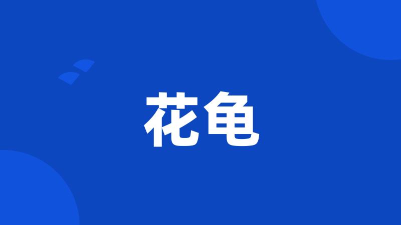 花龟
