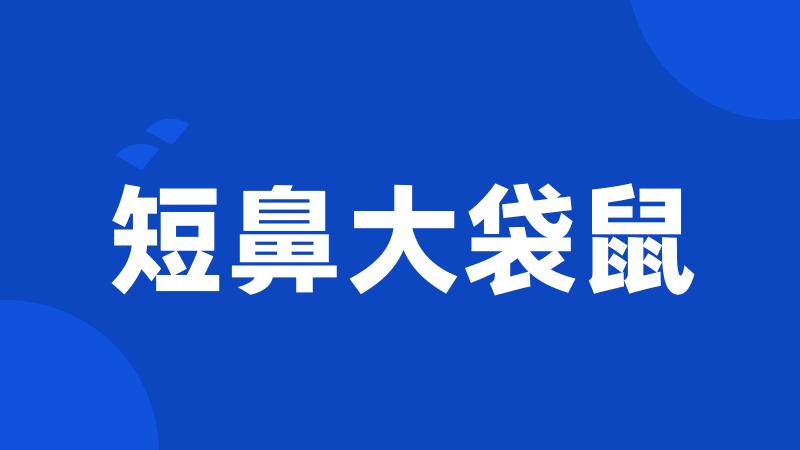 短鼻大袋鼠