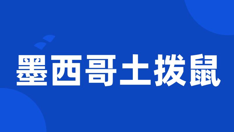 墨西哥土拨鼠