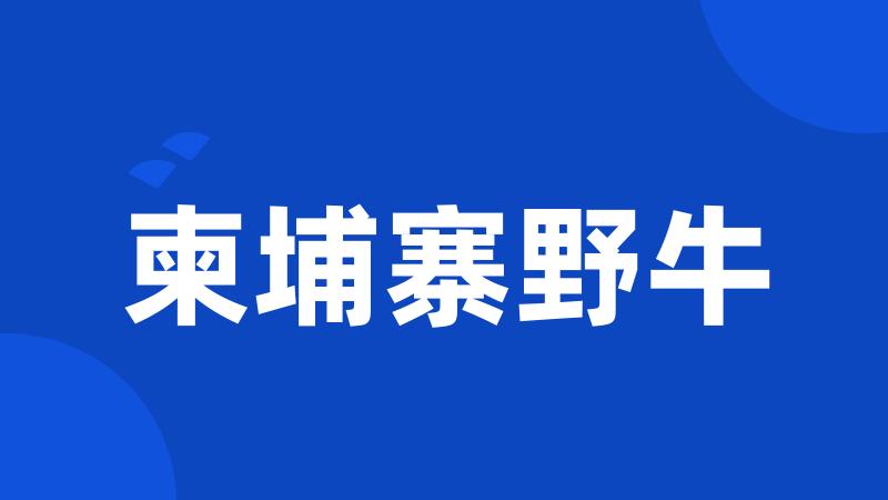 柬埔寨野牛