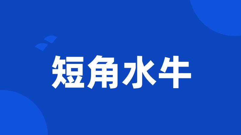 短角水牛