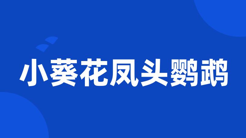 小葵花凤头鹦鹉