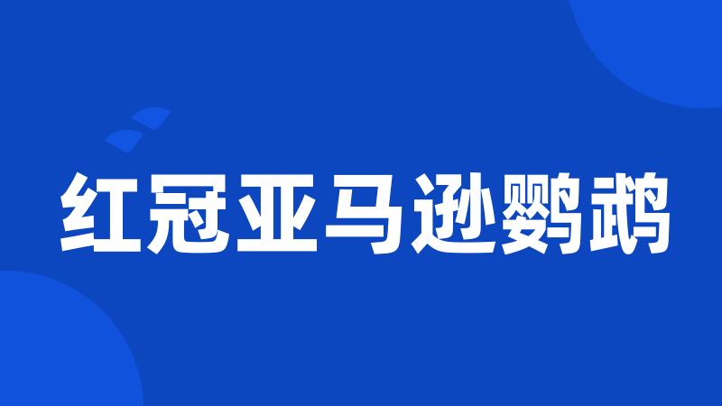 红冠亚马逊鹦鹉