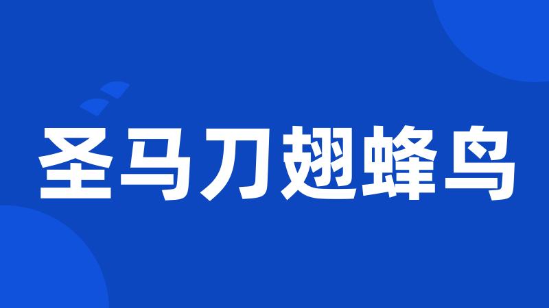 圣马刀翅蜂鸟