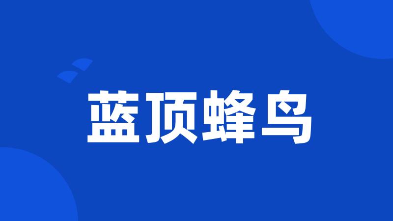 蓝顶蜂鸟