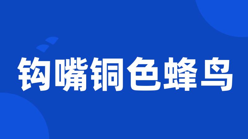 钩嘴铜色蜂鸟
