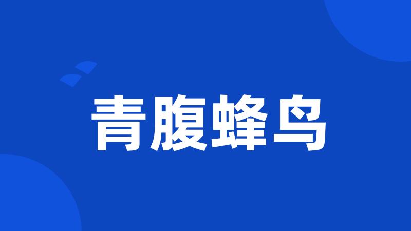 青腹蜂鸟