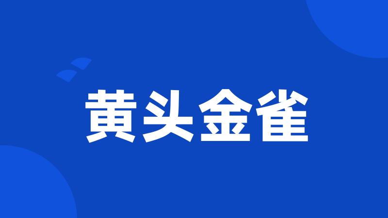 黄头金雀