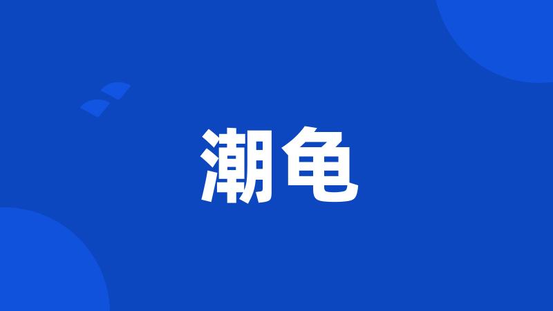 潮龟